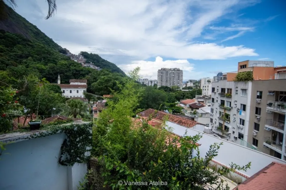 Casa, 5 quartos, 490 m² - Foto 4