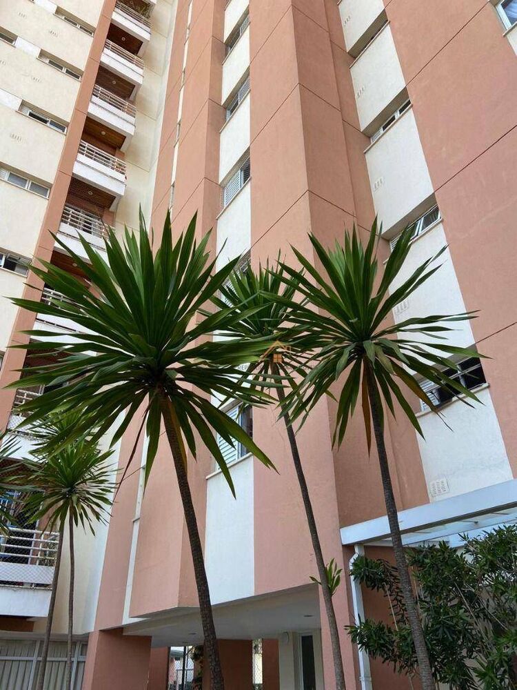 Apartamento, 2 quartos, 52 m² - Foto 20