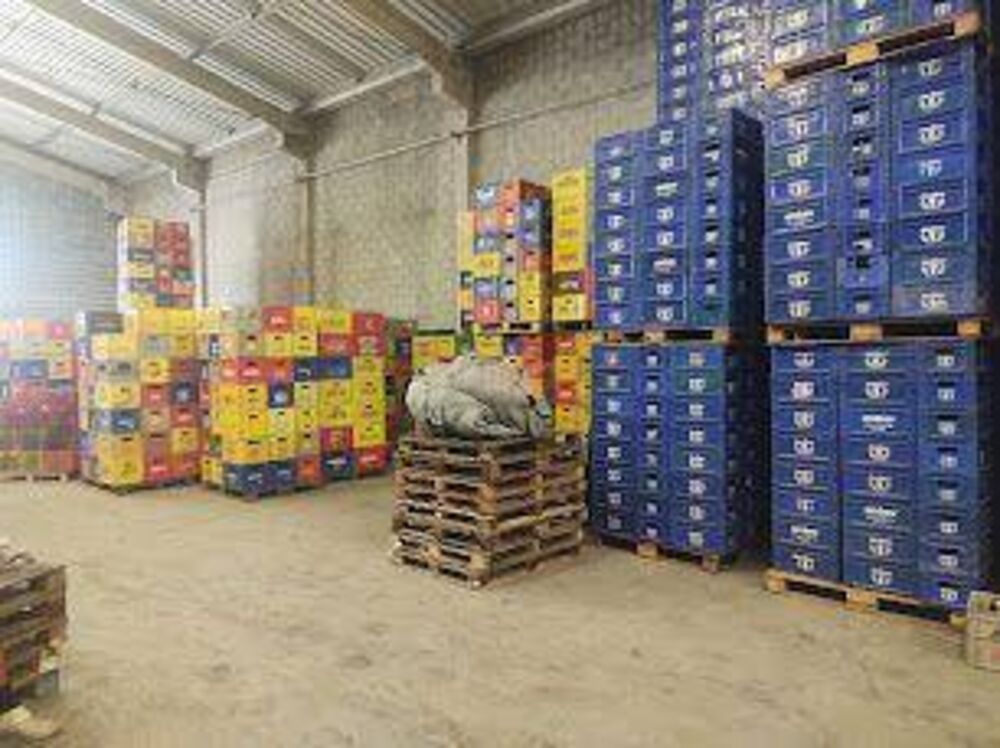 Depósito-Galpão, 695 m² - Foto 3