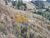 Terreno, 1750 m² - Foto 4