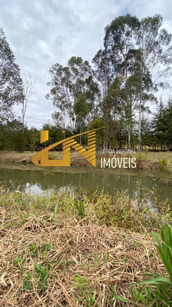 Terreno, 1600 m² - Foto 3