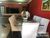 Apartamento, 3 quartos, 270 m² - Foto 1