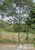 Terreno, 1307 m² - Foto 1