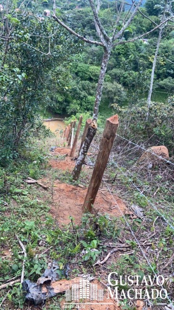 Terreno, 1 hectares - Foto 5