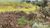 Terreno, 1 hectares - Foto 3