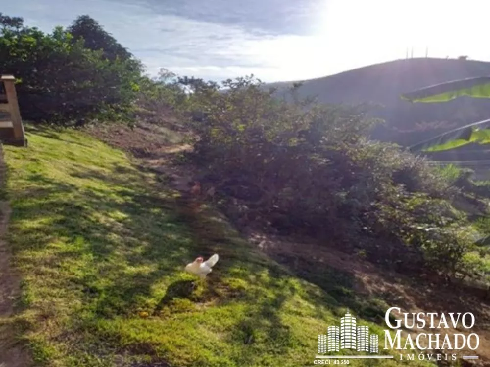 Chácara, 3 quartos - Foto 9