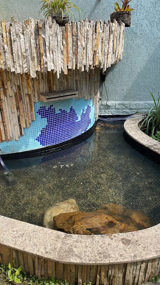 Casa, 4 quartos - Foto 5