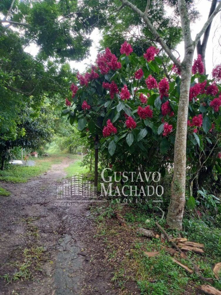 Terreno, 840 m² - Foto 5