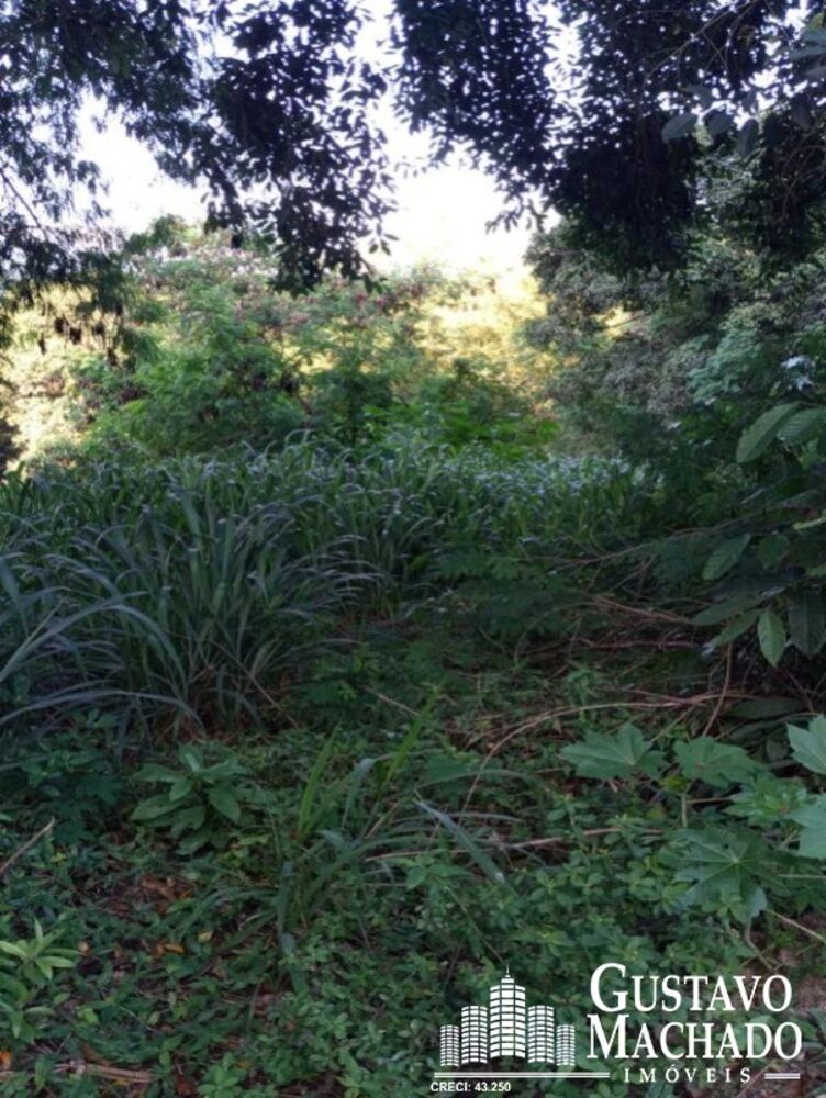 Chácara, 4 quartos, 2920 m² - Foto 23