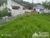 Terreno, 300 m² - Foto 3