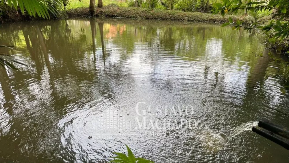 Sítio, 3 quartos, 80 m² - Foto 25