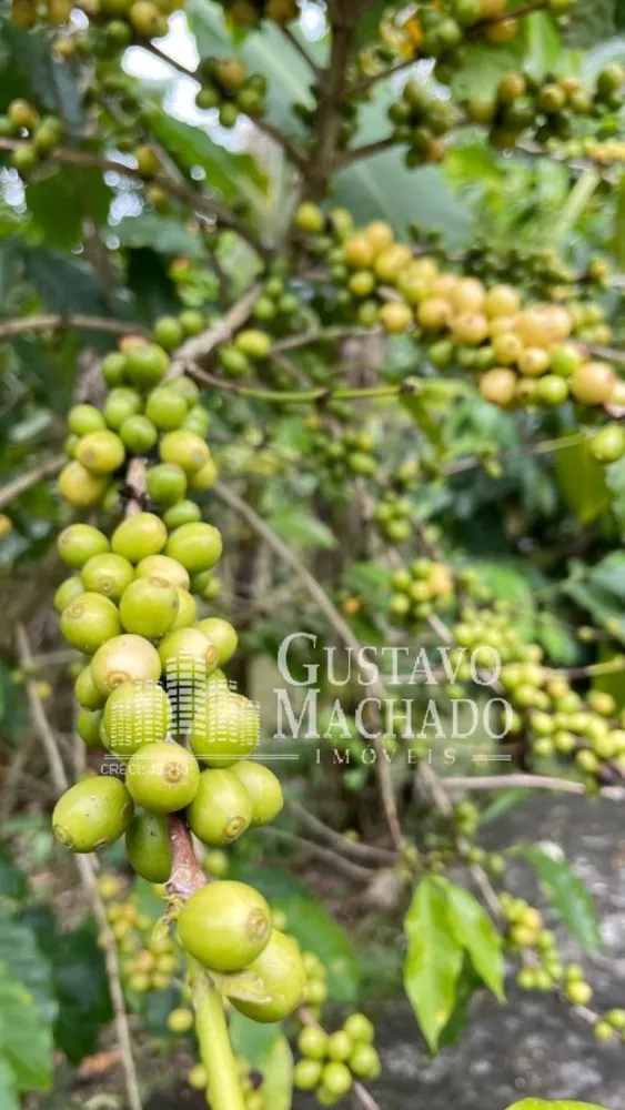 Sítio, 3 quartos, 80 m² - Foto 17