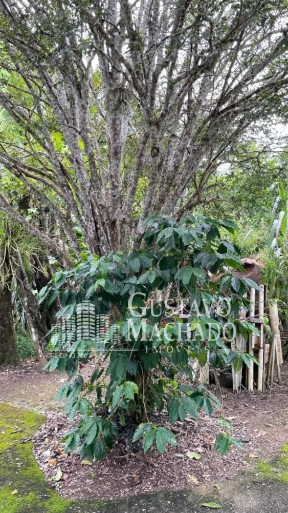 Sítio, 3 quartos, 80 m² - Foto 18