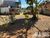 Terreno, 525 m² - Foto 13