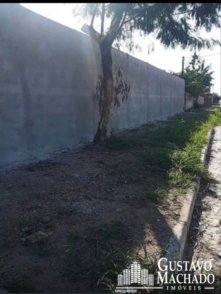 Depósito-Galpão-Armazém para alugar - Foto 5