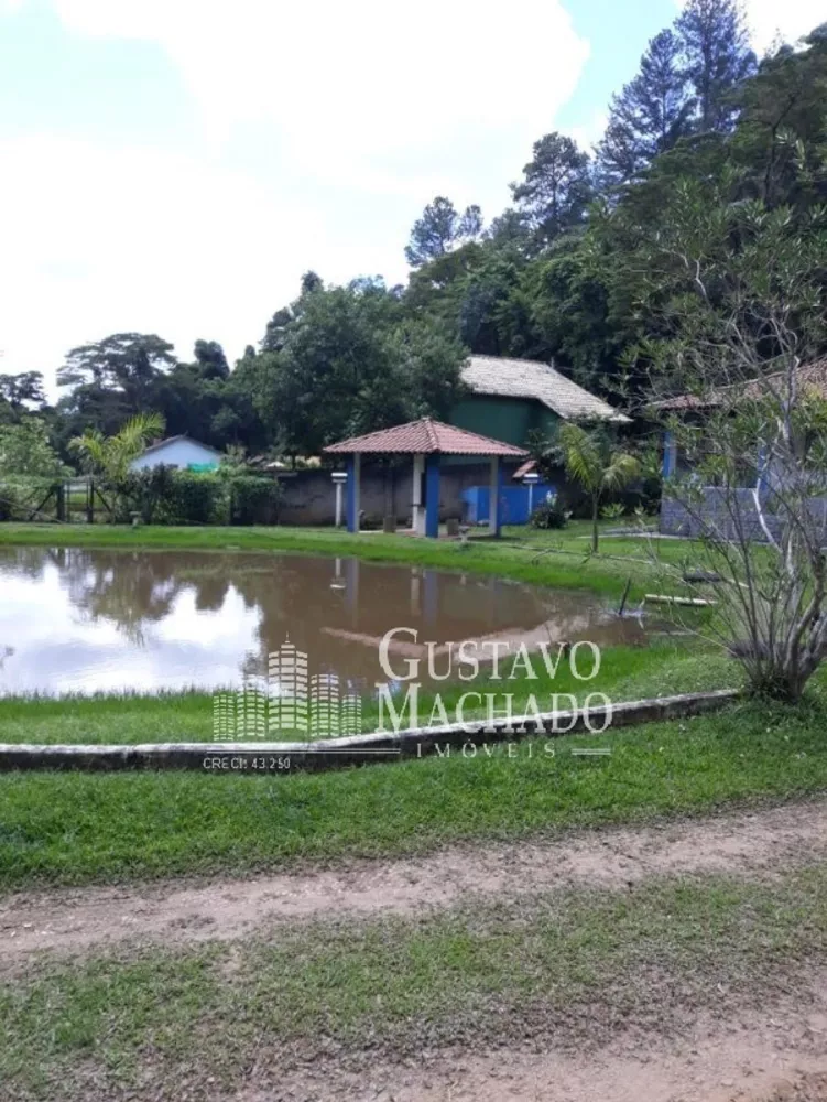 Sítio, 5 quartos, 4000 m² - Foto 3