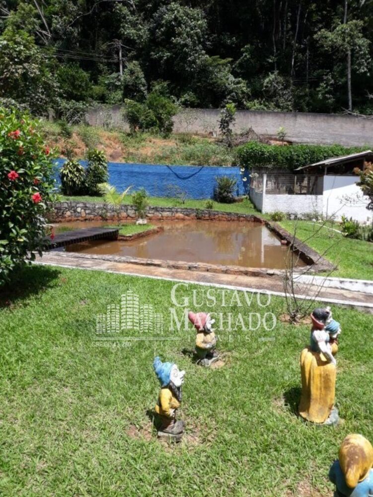 Sítio, 5 quartos, 4000 m² - Foto 12