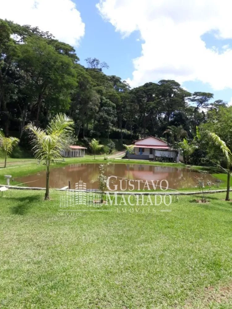 Sítio, 5 quartos, 4000 m² - Foto 8