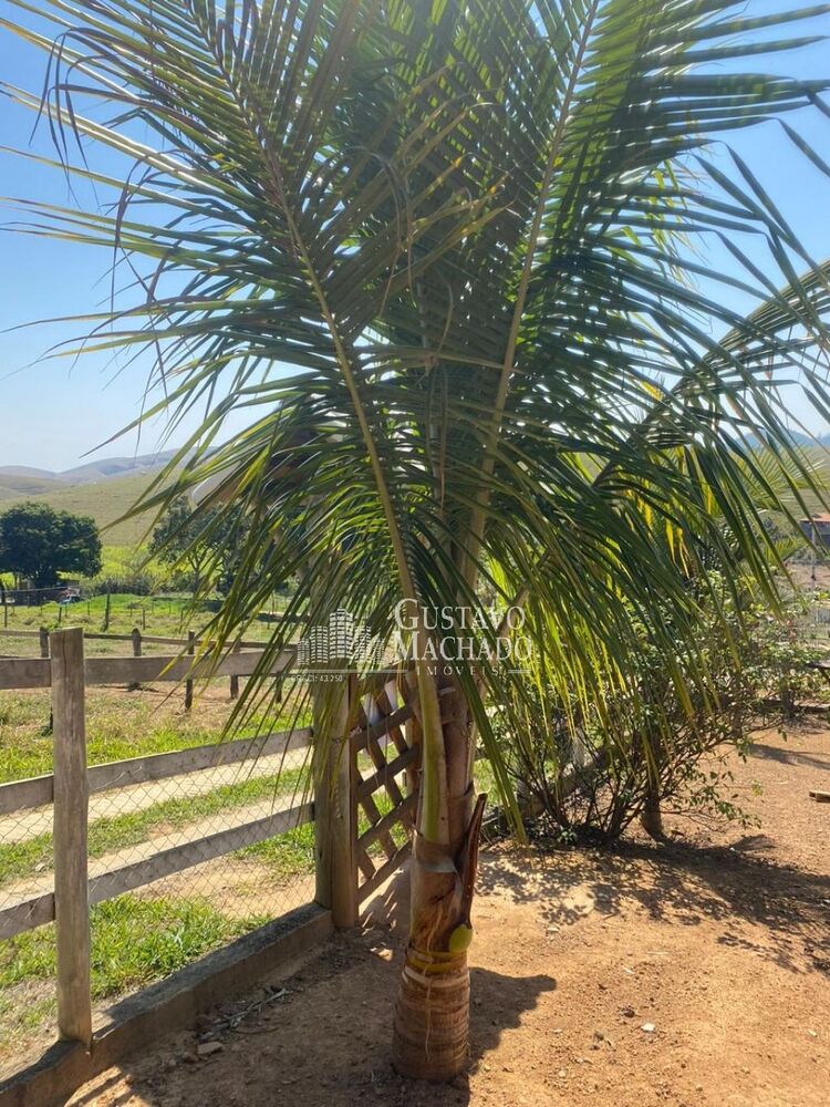 Casa, 2 quartos - Foto 12