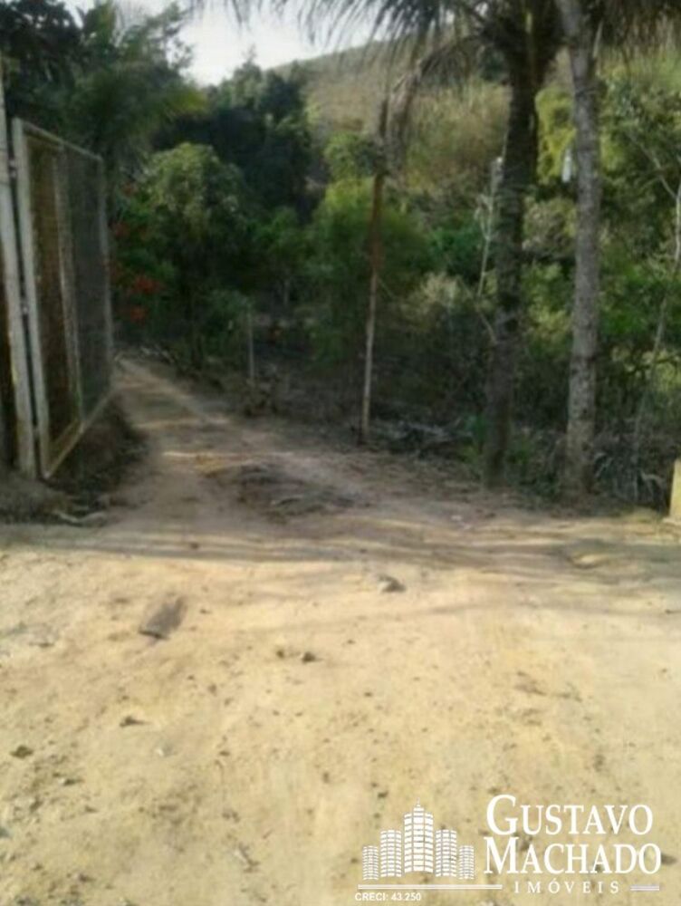 Chácara à venda com 3 quartos, 11000m² - Foto 2