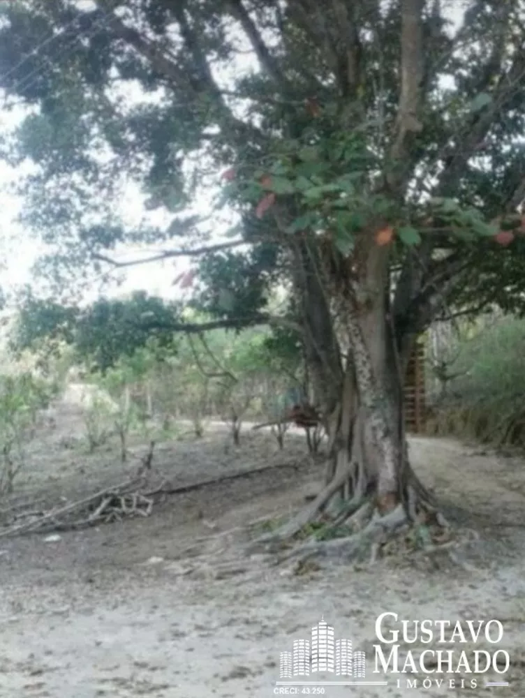 Chácara, 3 quartos, 1 hectares - Foto 12