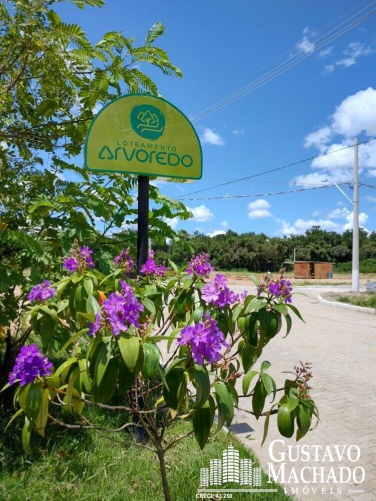 Terreno, 250 m² - Foto 7