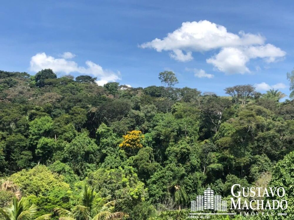 Chácara à venda com 4 quartos, 350m² - Foto 8