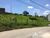 Terreno, 600 m² - Foto 1