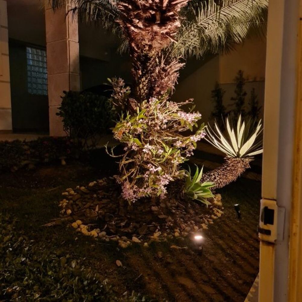 Casa à venda com 3 quartos - Foto 10