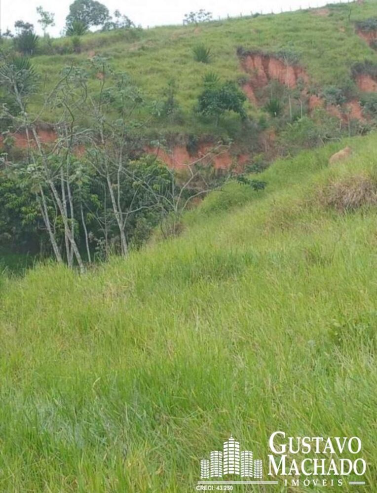 Sítio, 3 quartos - Foto 10