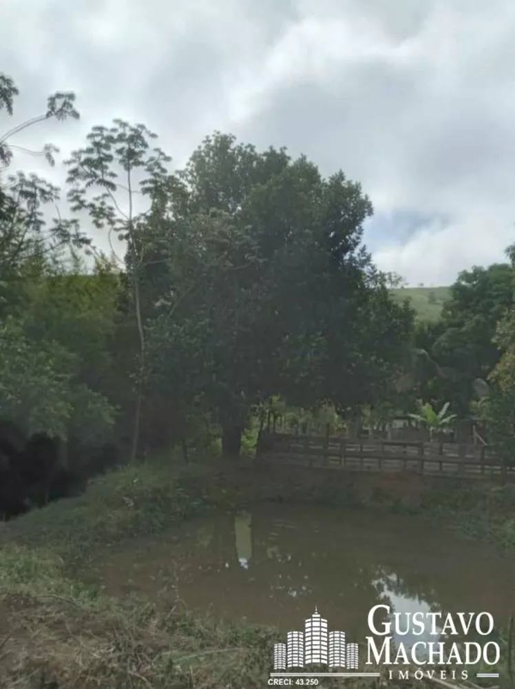 Sítio, 3 quartos - Foto 6