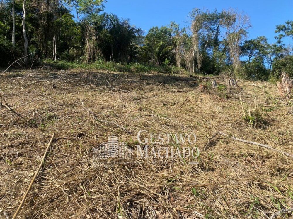 Terreno, 3000 m² - Foto 4
