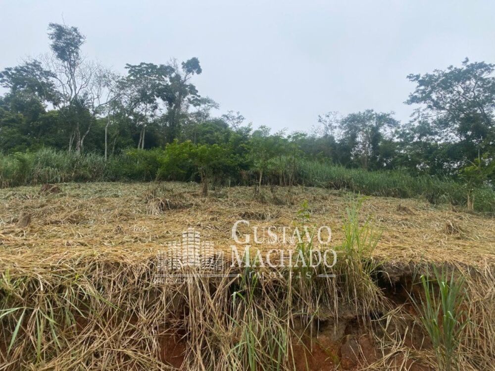 Terreno, 3000 m² - Foto 2