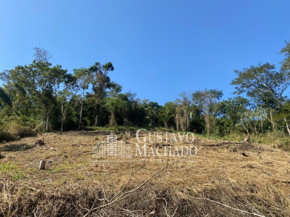 Terreno, 3000 m² - Foto 3