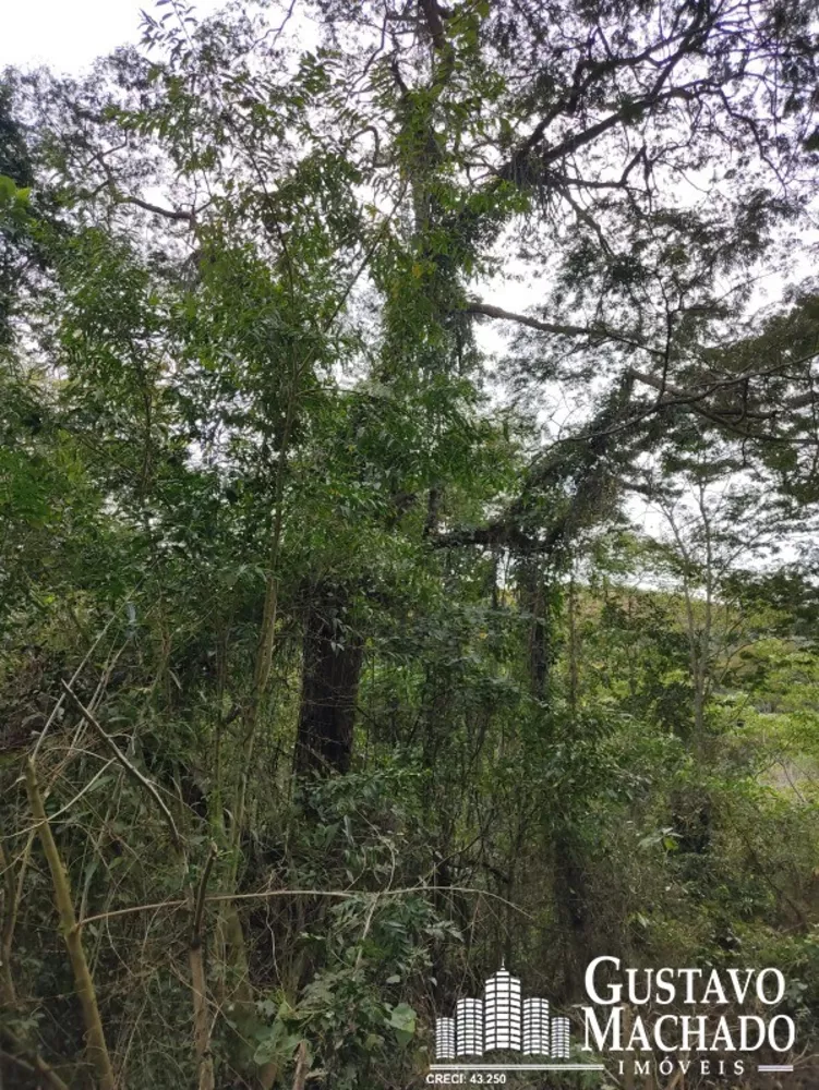 Chácara, 3 quartos - Foto 9