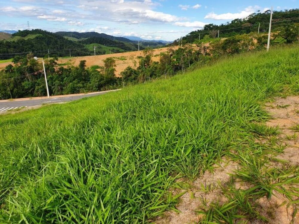 Terreno, 254 m² - Foto 3