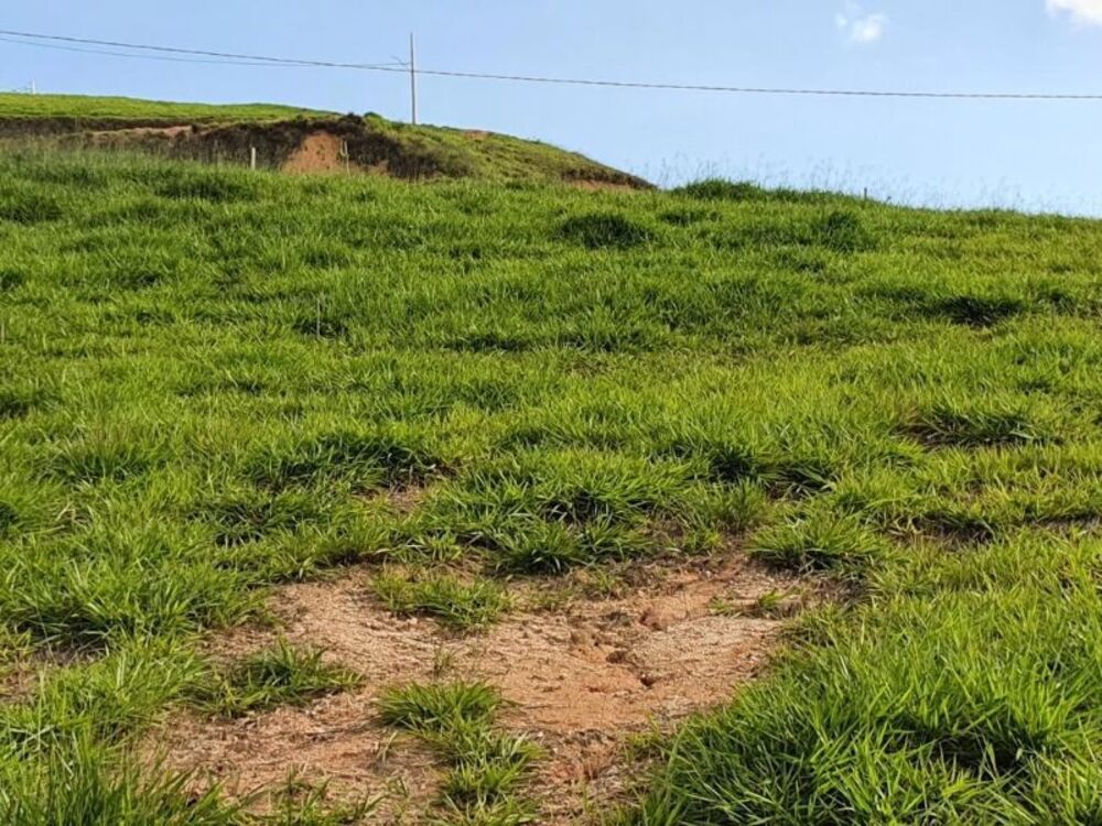 Terreno, 254 m² - Foto 5