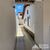 Casa, 3 quartos, 102 m² - Foto 10