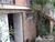 Casa, 4 quartos, 360 m² - Foto 3
