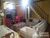 Casa, 3 quartos, 450 m² - Foto 3