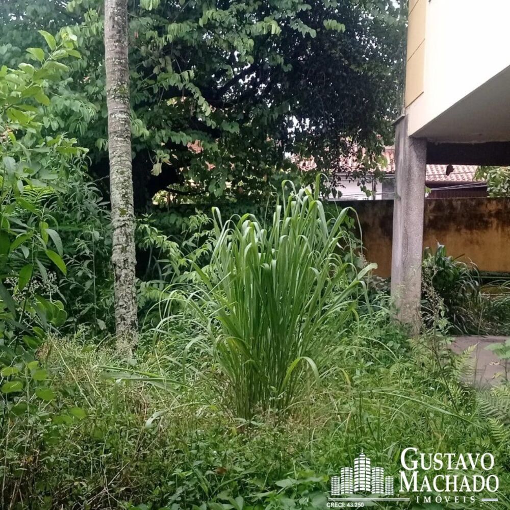 Casa, 5 quartos, 330 m² - Foto 6