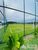 Terreno, 250 m² - Foto 5