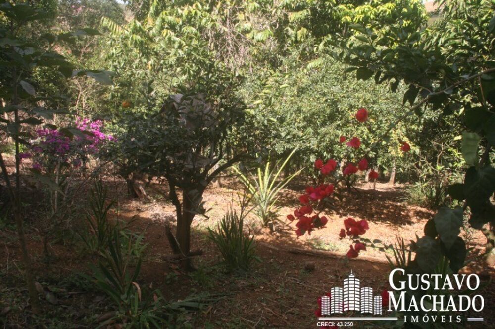 Casa à venda com 4 quartos, 230m² - Foto 6