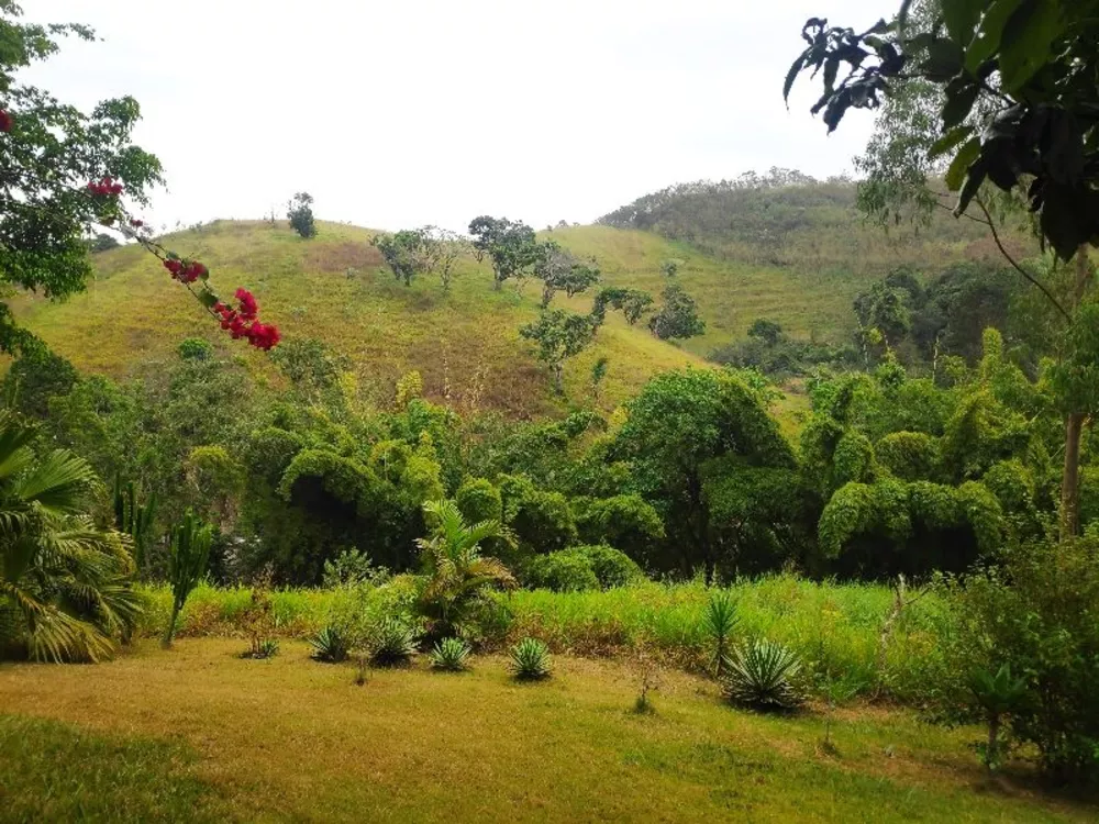 Sítio, 5 quartos - Foto 2