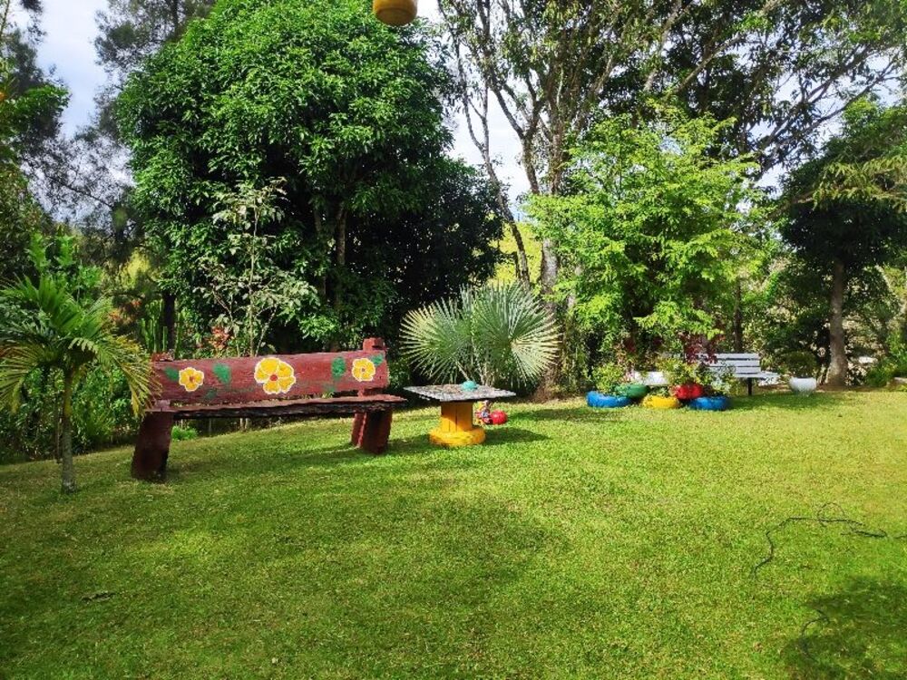 Sítio à venda com 5 quartos - Foto 8