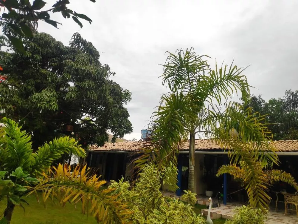 Sítio, 5 quartos - Foto 11