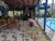 Sítio, 5 quartos - Foto 2