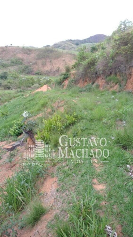 Terreno, 2 hectares - Foto 3