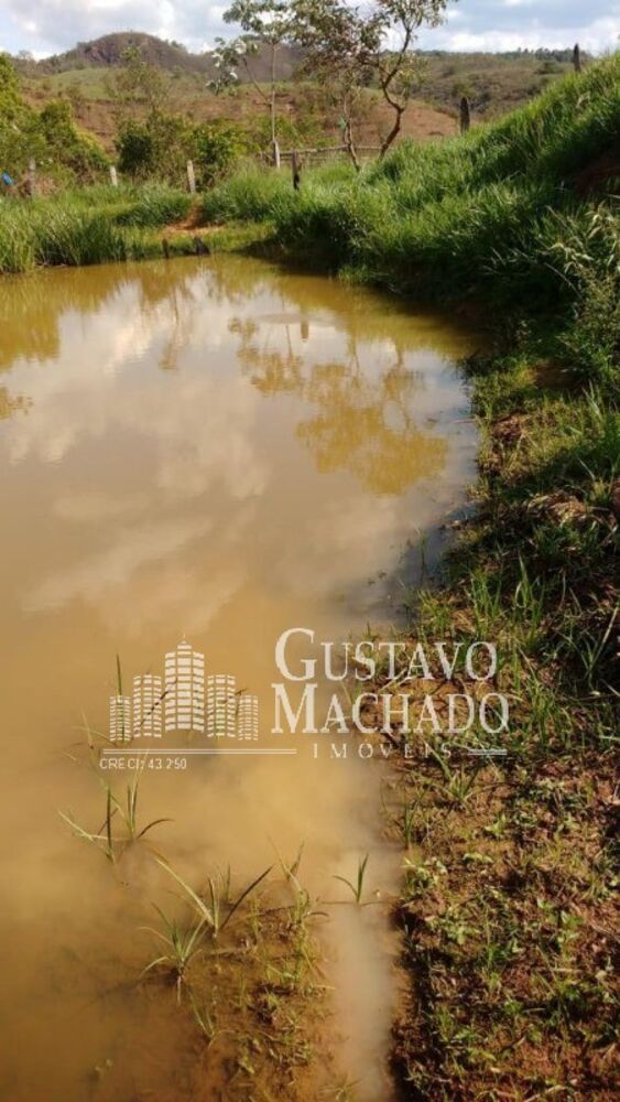 Terreno, 2 hectares - Foto 8