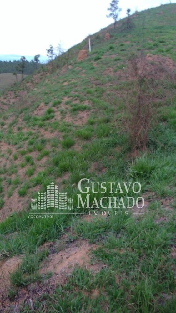 Terreno, 2 hectares - Foto 5